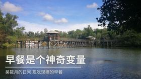 西藏墨脱县记录到金猫全球最高海拔分布